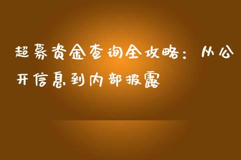 超募资金查询全攻略：从公开信息到内部披露_https://m.fsyjjx.cn_股指期货保证金_第1张
