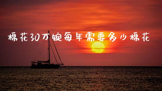 棉花30万锭每年需要多少棉花_https://m.fsyjjx.cn_期货保证金_第1张