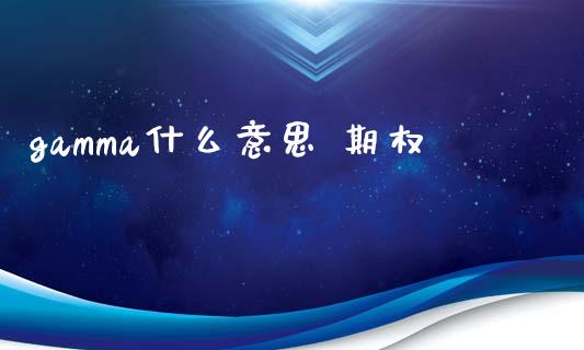 gamma什么意思 期权_https://m.fsyjjx.cn_股指期货保证金_第1张