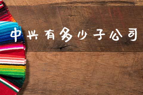 中兴有多少子公司_https://m.fsyjjx.cn_期货保证金计算_第1张