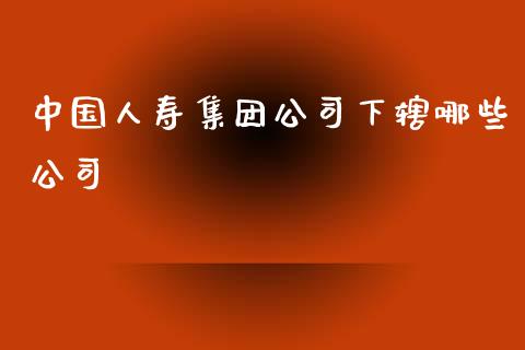 中国人寿集团公司下辖哪些公司_https://m.fsyjjx.cn_期货如何开户_第1张