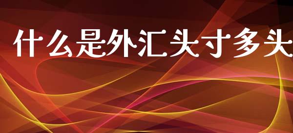 什么是外汇头寸多头_https://m.fsyjjx.cn_期货保证金计算_第1张