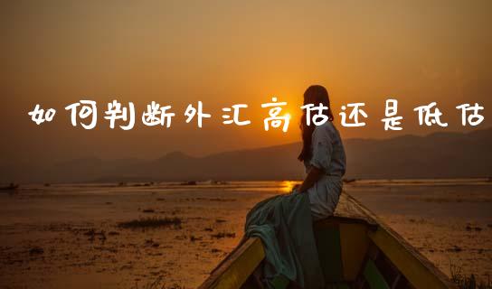 如何判断外汇高估还是低估_https://m.fsyjjx.cn_期货如何开户_第1张