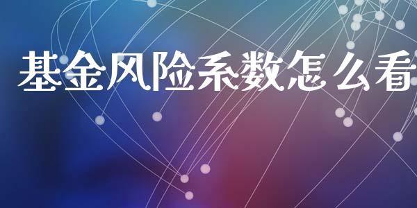 基金风险系数怎么看_https://m.fsyjjx.cn_期货保证金计算_第1张