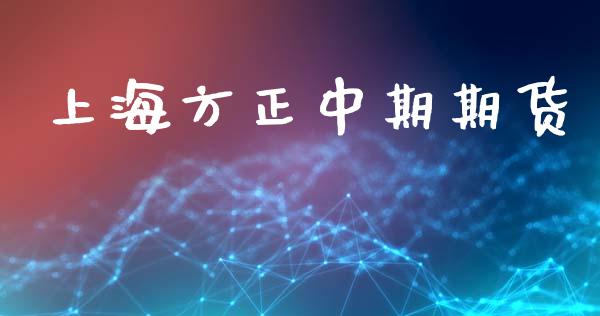 上海方正中期期货_https://m.fsyjjx.cn_股指期货保证金_第1张