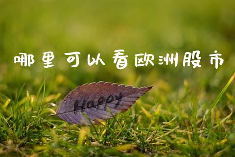 哪里可以看欧洲股市_https://m.fsyjjx.cn_期货如何开户_第1张