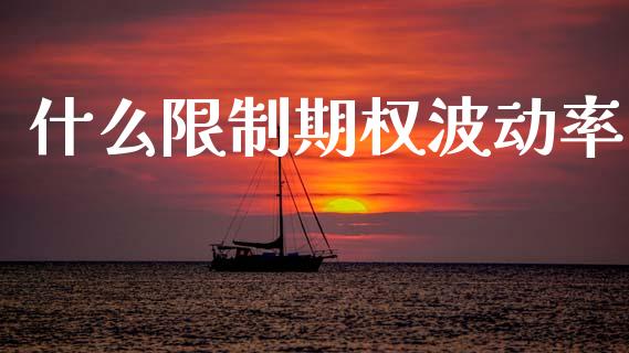 什么限制期权波动率_https://m.fsyjjx.cn_期货保证金计算_第1张