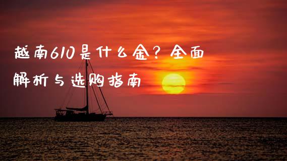 越南610是什么金？全面解析与选购指南_https://m.fsyjjx.cn_期货如何开户_第1张