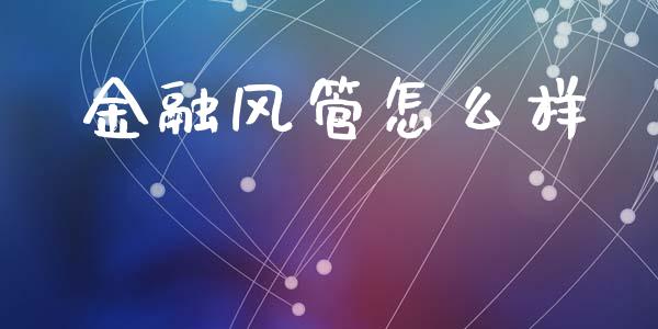 金融风管怎么样_https://m.fsyjjx.cn_期货保证金计算_第1张