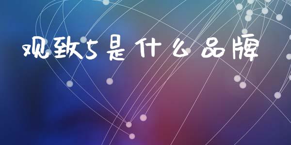 观致5是什么品牌_https://m.fsyjjx.cn_期货保证金_第1张