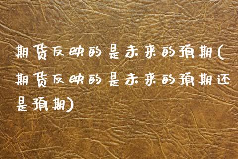 期货反映的是未来的预期(期货反映的是未来的预期还是预期)_https://m.fsyjjx.cn_期货如何开户_第1张