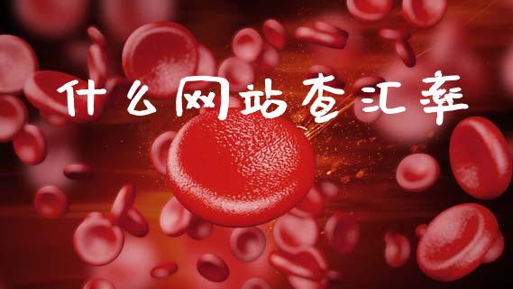 什么网站查汇率_https://m.fsyjjx.cn_期货保证金计算_第1张
