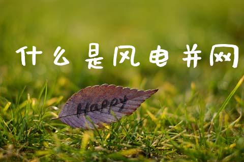 什么是风电并网_https://m.fsyjjx.cn_期货如何开户_第1张