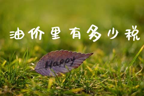 油价里有多少税_https://m.fsyjjx.cn_股指期货保证金_第1张