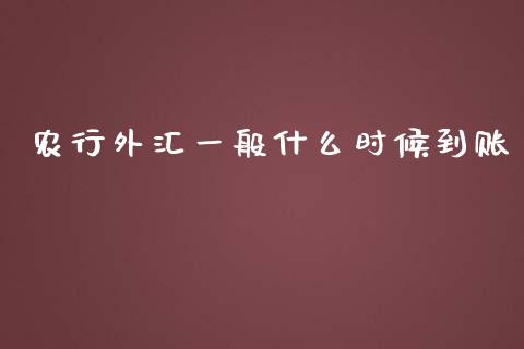 农行外汇一般什么时候到账_https://m.fsyjjx.cn_期货如何开户_第1张