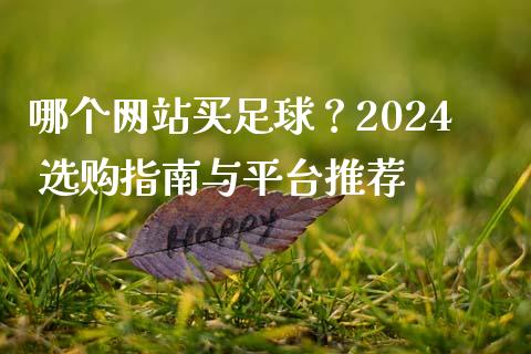 哪个网站买足球？2024 选购指南与平台推荐_https://m.fsyjjx.cn_股指期货保证金_第1张