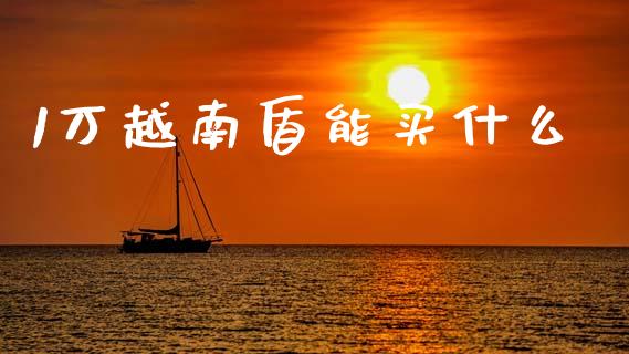 1万越南盾能买什么_https://m.fsyjjx.cn_股指期货保证金_第1张