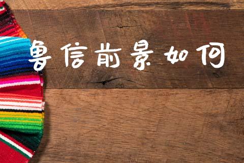 鲁信前景如何_https://m.fsyjjx.cn_期货保证金计算_第1张