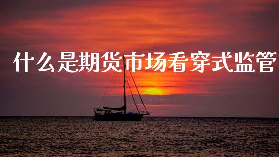 什么是期货市场看穿式监管_https://m.fsyjjx.cn_期货保证金计算_第1张
