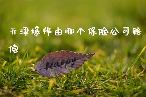 天津爆炸由哪个保险公司赔偿_https://m.fsyjjx.cn_期货保证金计算_第1张