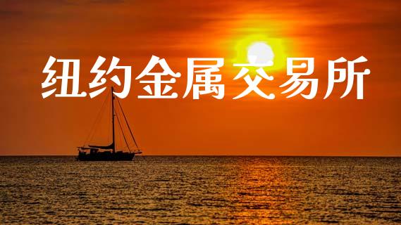 纽约金属交易所_https://m.fsyjjx.cn_期货保证金计算_第1张
