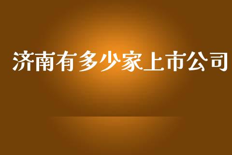 济南有多少家上市公司_https://m.fsyjjx.cn_期货保证金计算_第1张