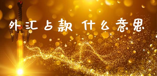 外汇占款 什么意思_https://m.fsyjjx.cn_期货如何开户_第1张