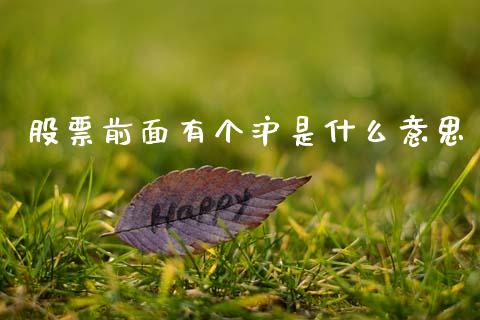股票前面有个沪是什么意思_https://m.fsyjjx.cn_股指期货保证金_第1张