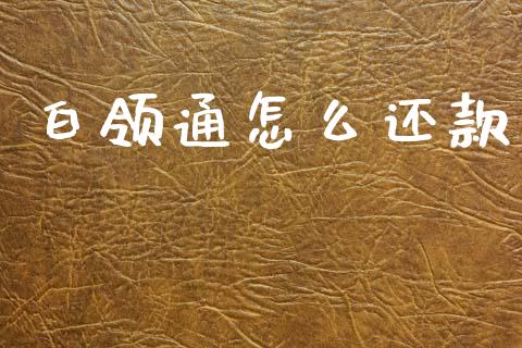 白领通怎么还款_https://m.fsyjjx.cn_期货保证金计算_第1张