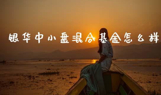 银华中小盘混合基金怎么样_https://m.fsyjjx.cn_期货保证金计算_第1张