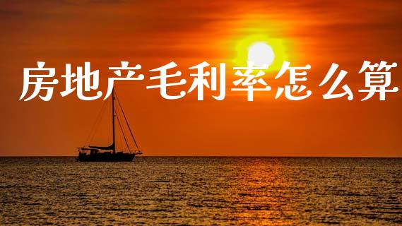 房地产毛利率怎么算_https://m.fsyjjx.cn_期货保证金计算_第1张