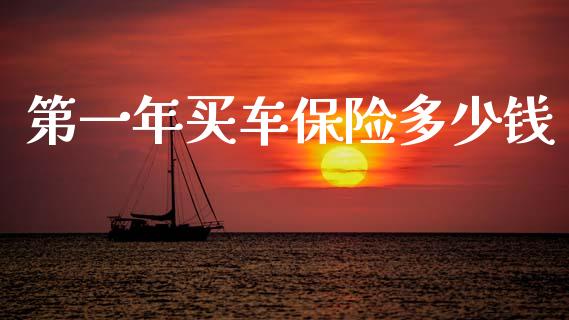 第一年买车保险多少钱_https://m.fsyjjx.cn_股指期货保证金_第1张