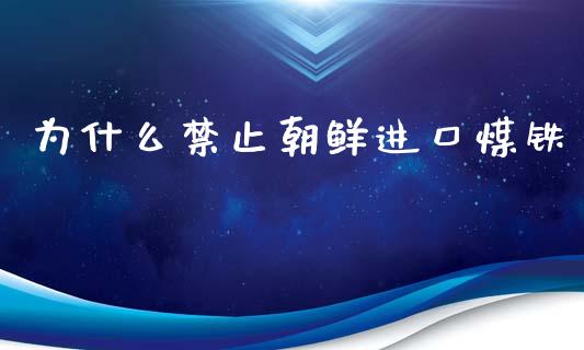为什么禁止朝鲜进口煤铁_https://m.fsyjjx.cn_期货如何开户_第1张