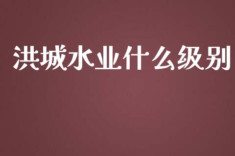 洪城水业什么级别_https://m.fsyjjx.cn_股指期货保证金_第1张