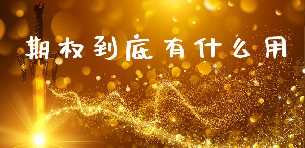 期权到底有什么用_https://m.fsyjjx.cn_期货保证金_第1张