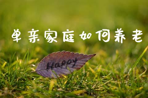 单亲家庭如何养老_https://m.fsyjjx.cn_期货保证金计算_第1张
