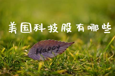 美国科技股有哪些_https://m.fsyjjx.cn_期货保证金计算_第1张