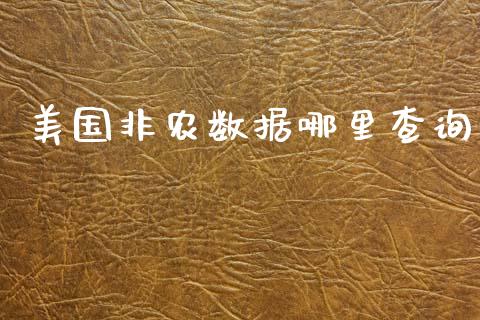美国非农数据哪里查询_https://m.fsyjjx.cn_期货保证金_第1张