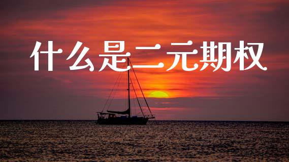 什么是二元期权_https://m.fsyjjx.cn_期货保证金_第1张
