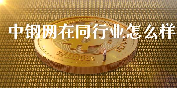 中钢网在同行业怎么样_https://m.fsyjjx.cn_期货保证金计算_第1张