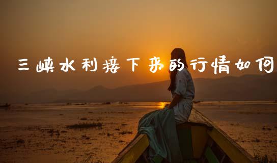 三峡水利接下来的行情如何_https://m.fsyjjx.cn_股指期货保证金_第1张