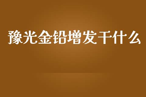 豫光金铅增发干什么_https://m.fsyjjx.cn_期货保证金计算_第1张