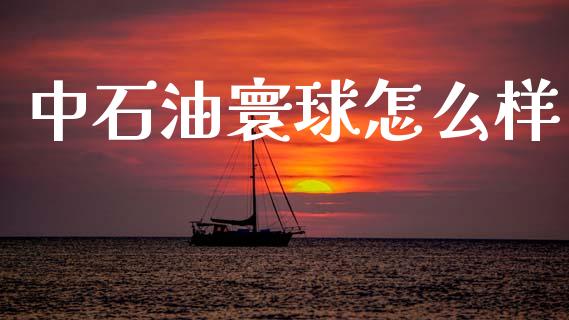 中石油寰球怎么样_https://m.fsyjjx.cn_期货保证金计算_第1张