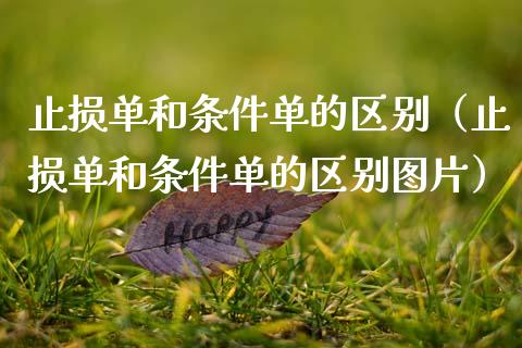 止损单和条件单的区别（止损单和条件单的区别图片）_https://m.fsyjjx.cn_期货如何开户_第1张