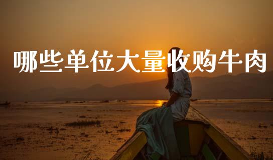 哪些单位大量收购牛肉_https://m.fsyjjx.cn_期货如何开户_第1张