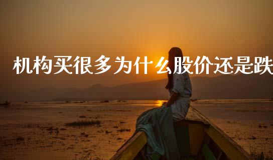 机构买很多为什么股价还是跌_https://m.fsyjjx.cn_期货保证金_第1张