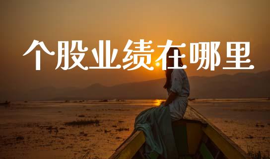 个股业绩在哪里_https://m.fsyjjx.cn_期货如何开户_第1张