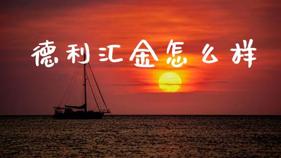德利汇金怎么样_https://m.fsyjjx.cn_期货保证金_第1张