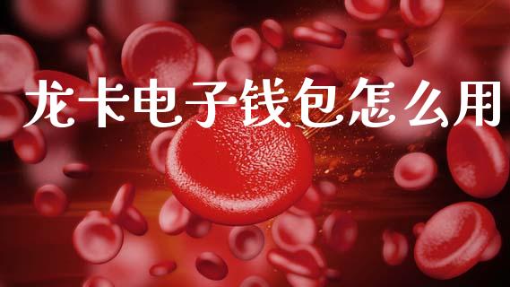龙卡电子钱包怎么用_https://m.fsyjjx.cn_期货如何开户_第1张