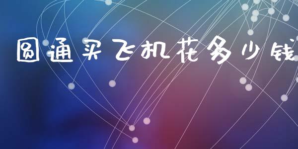 圆通买飞机花多少钱_https://m.fsyjjx.cn_期货保证金_第1张